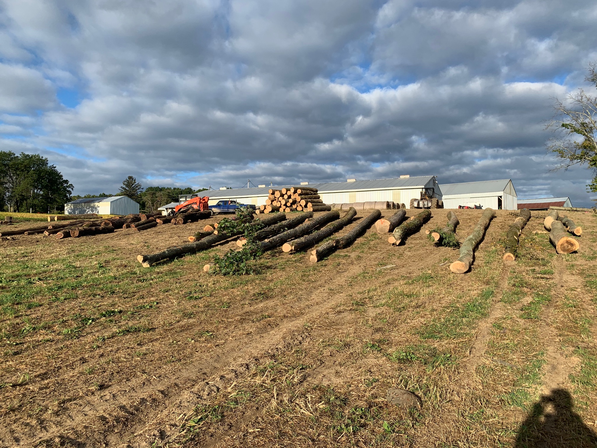 Forest logging operations in Pennsylvania