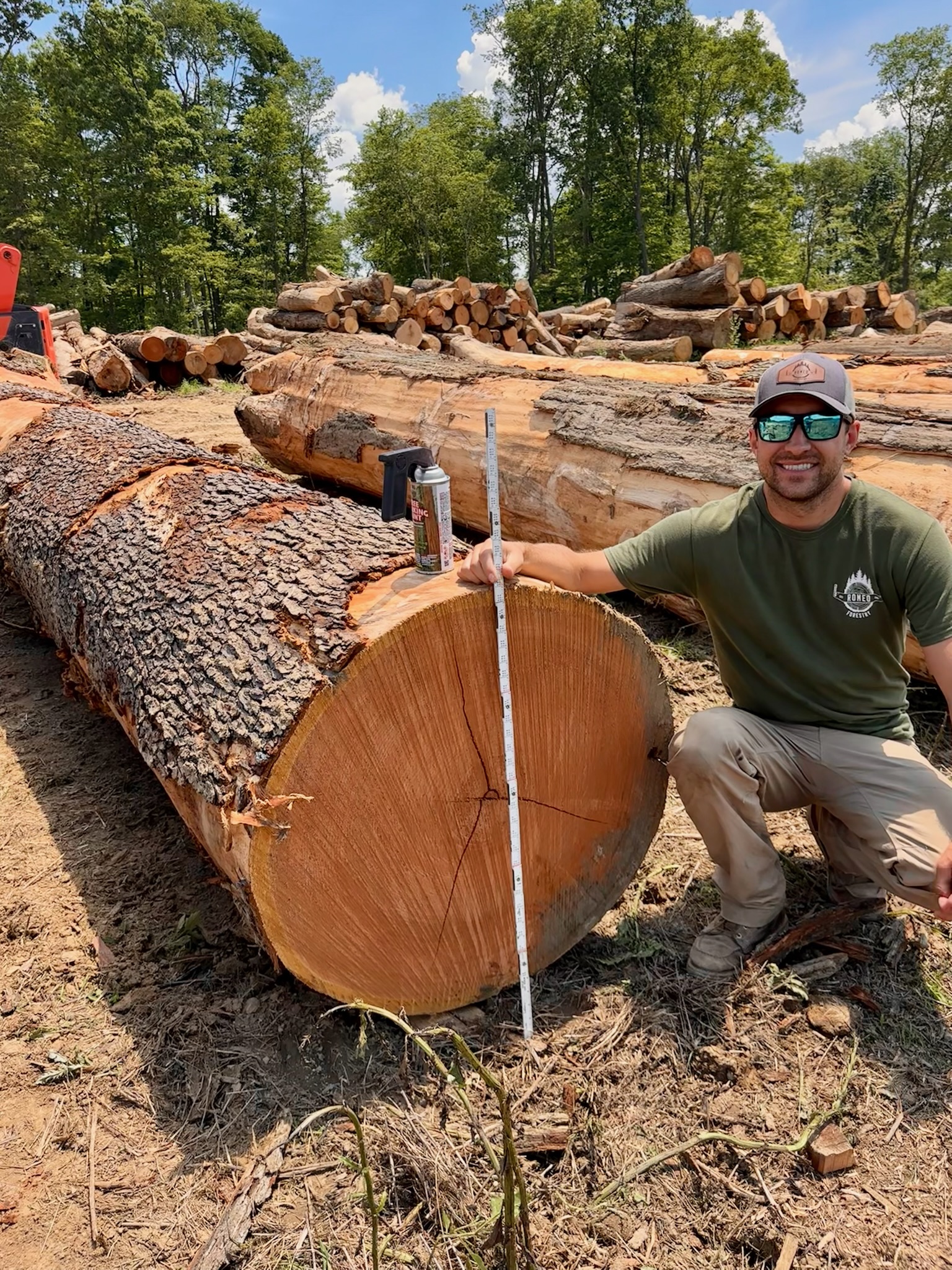 Professional forestry equipment and timber operations