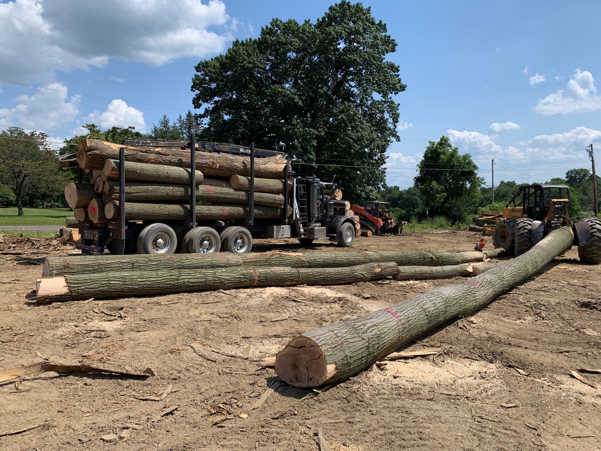 Logging truck with timber load ready for transport
