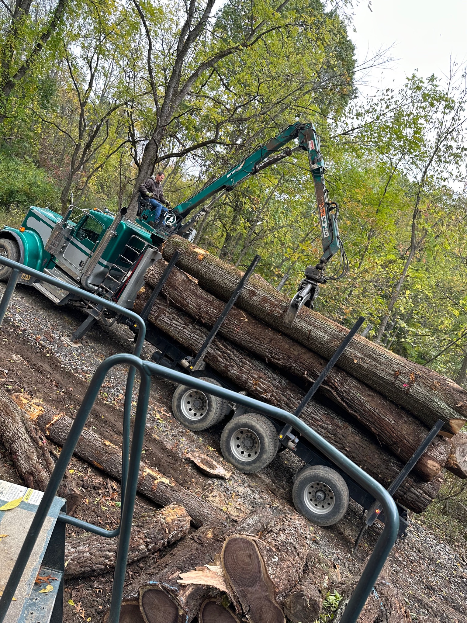 Timber processing and lumber preparation