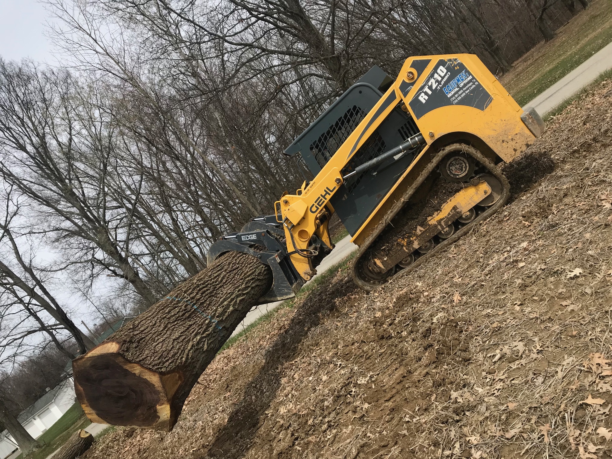 Heavy equipment skid steer working with logs