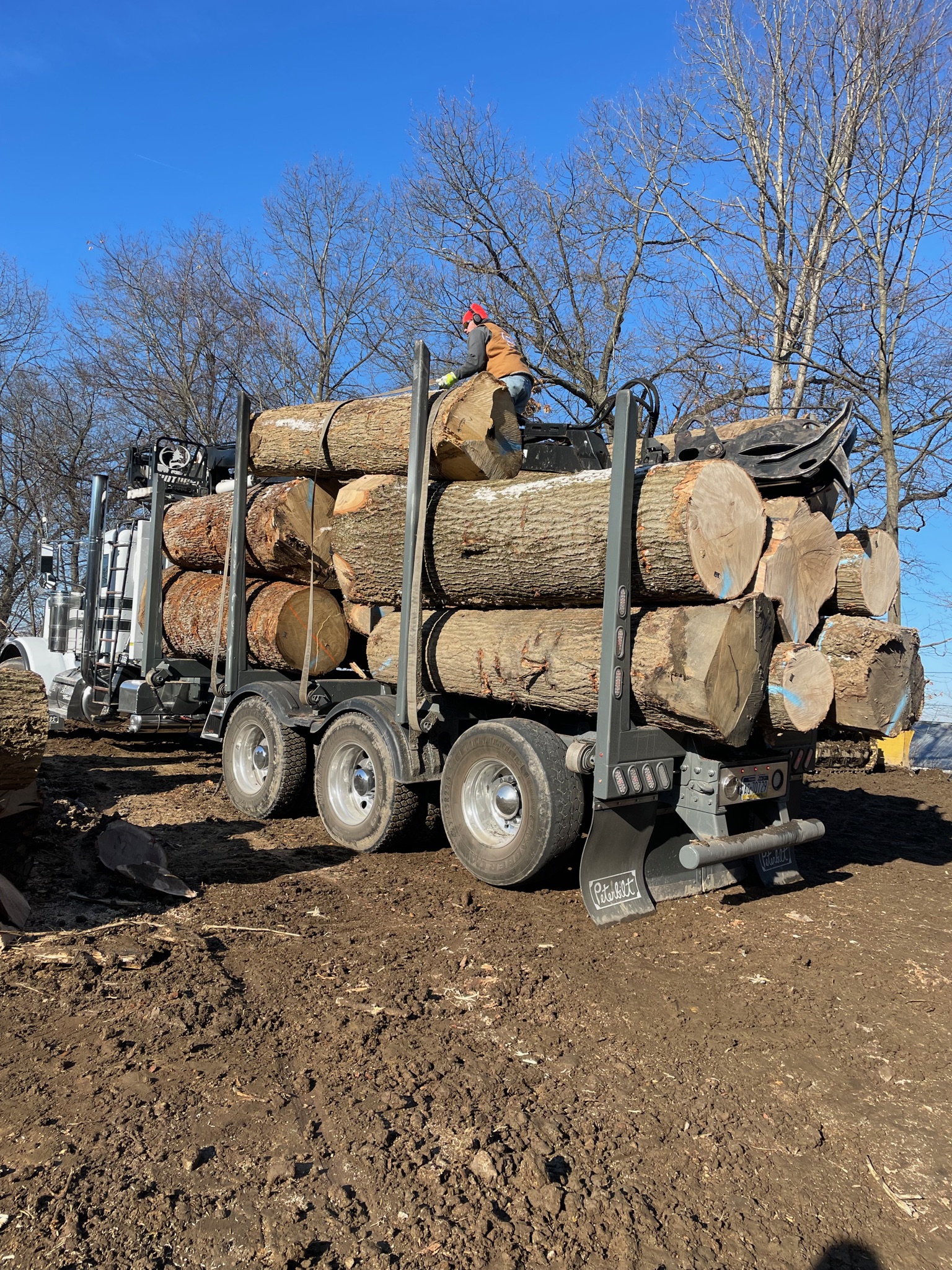 Heavy machinery for forest management