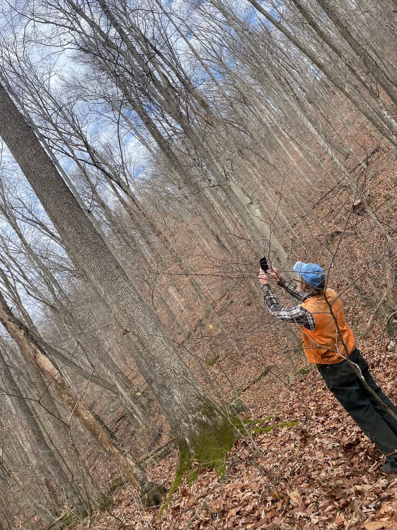 Land management and property clearing services