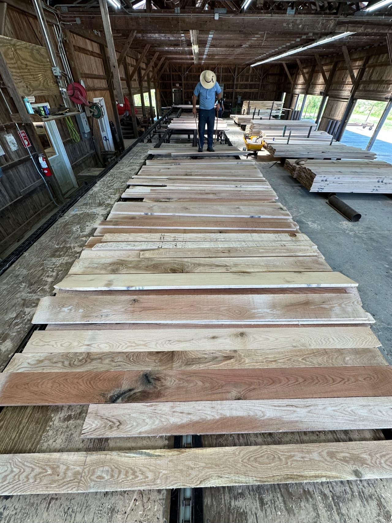 Professional timber processing operations