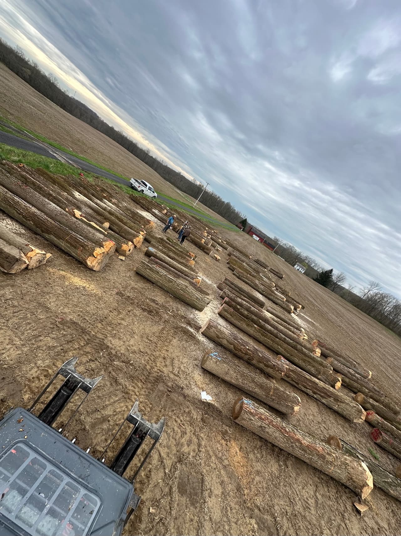 Selective timber harvesting operations